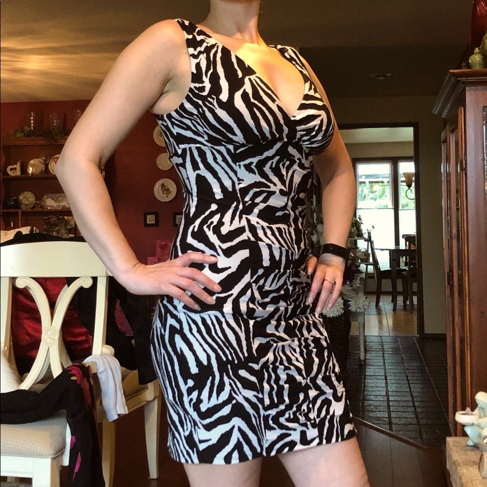 Sexy Zebra Pattern Dress